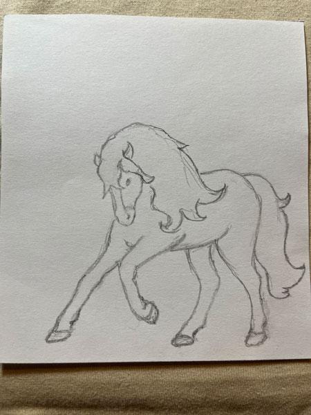 Haflinger als Wunschmotiv